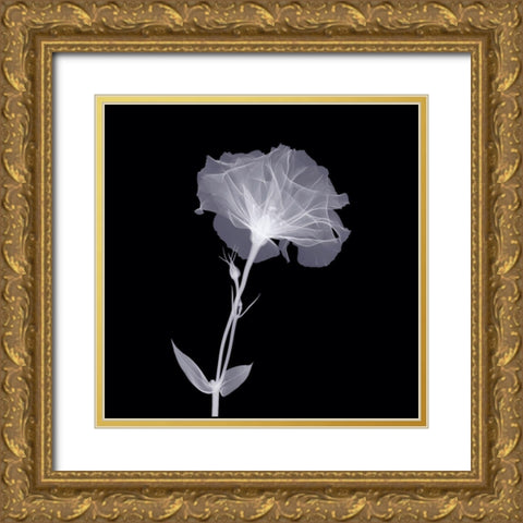 Bud in Bloom Gold Ornate Wood Framed Art Print with Double Matting by Anonymous