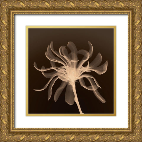 Cinnamon Ribbon (sepia) Gold Ornate Wood Framed Art Print with Double Matting by Anonymous