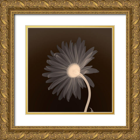 Sunburst Petals (sepia) Gold Ornate Wood Framed Art Print with Double Matting by Anonymous