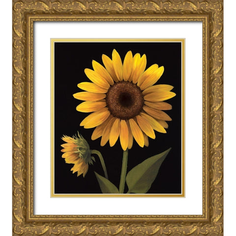 Sunflower II Gold Ornate Wood Framed Art Print with Double Matting by Unknown