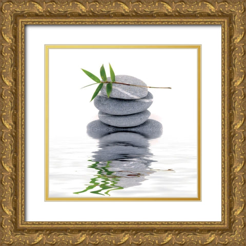 Aqua IV Gold Ornate Wood Framed Art Print with Double Matting by BRAUN Studio