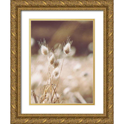 Herbes des Champs 1 Gold Ornate Wood Framed Art Print with Double Matting by BRAUN Studio