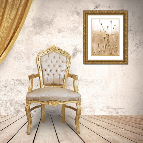 Herbes des Champs 2 Gold Ornate Wood Framed Art Print with Double Matting by BRAUN Studio