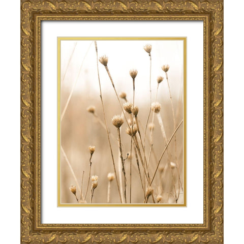 Herbes des Champs 2 Gold Ornate Wood Framed Art Print with Double Matting by BRAUN Studio