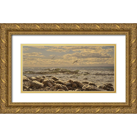 Sea and Stones I Gold Ornate Wood Framed Art Print with Double Matting by Adamov, Alexey