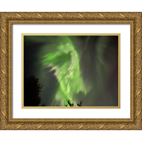 Northern Lights Iceland I Gold Ornate Wood Framed Art Print with Double Matting by Bures, Josef
