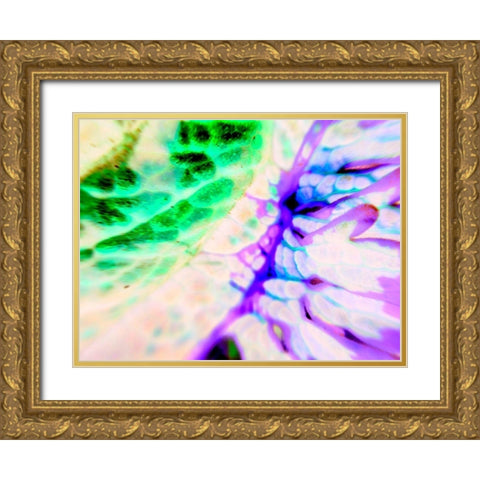 Biologic I Gold Ornate Wood Framed Art Print with Double Matting by Grayscale
