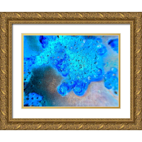 Blue Oxide Gold Ornate Wood Framed Art Print with Double Matting by Grayscale