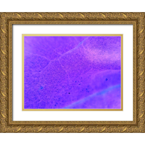 Energy Connection II Gold Ornate Wood Framed Art Print with Double Matting by Grayscale