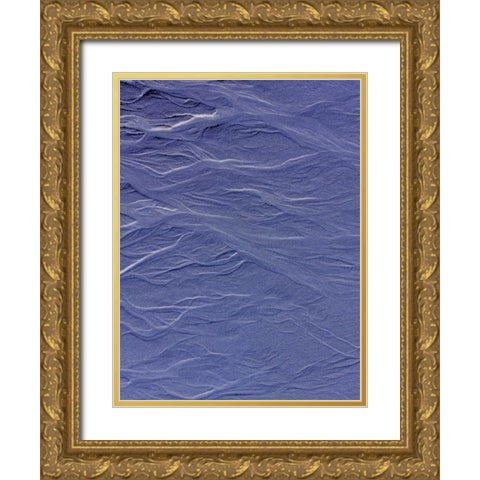 Blue Fibers I Gold Ornate Wood Framed Art Print with Double Matting by Grayscale
