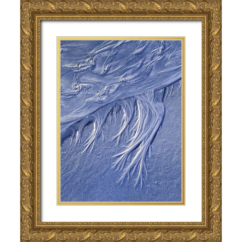 Blue Fibers III Gold Ornate Wood Framed Art Print with Double Matting by Grayscale