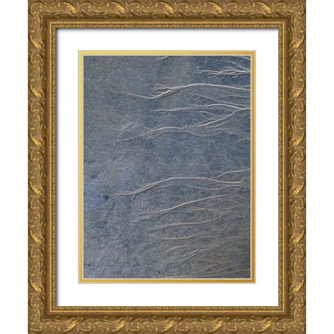 Sand Fibers I Gold Ornate Wood Framed Art Print with Double Matting by Grayscale