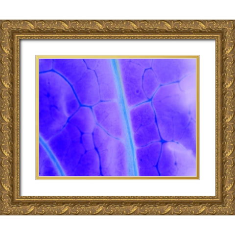 Turquoise Ridge I Gold Ornate Wood Framed Art Print with Double Matting by Grayscale