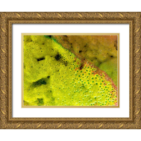 BioRidge I Gold Ornate Wood Framed Art Print with Double Matting by Grayscale