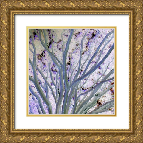 Space Canopy II Gold Ornate Wood Framed Art Print with Double Matting by Grayscale