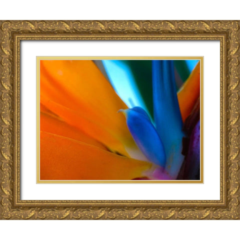 Bird Of Paradise I Gold Ornate Wood Framed Art Print with Double Matting by Grayscale