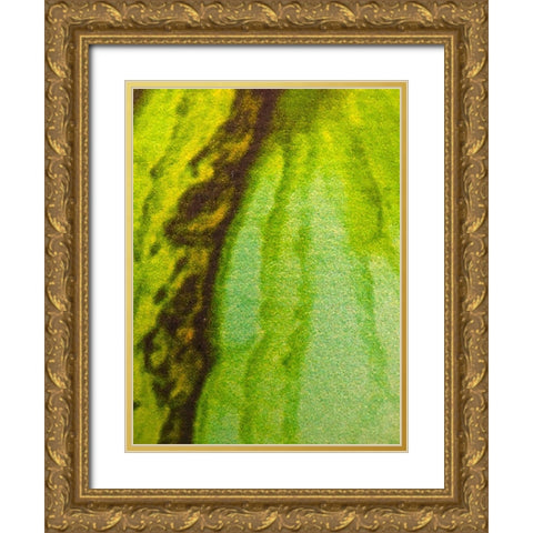 Canvas Closeup V Gold Ornate Wood Framed Art Print with Double Matting by Grayscale