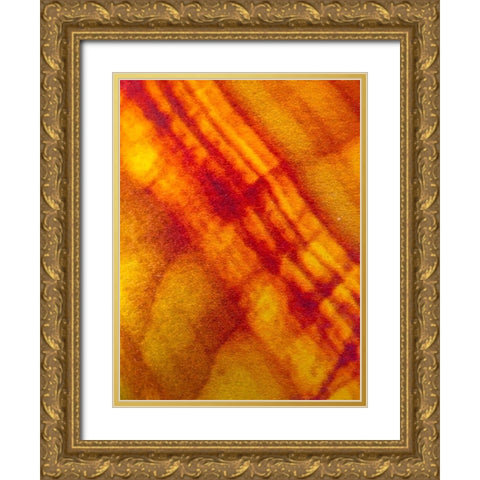 Canvas Closeup VI Gold Ornate Wood Framed Art Print with Double Matting by Grayscale