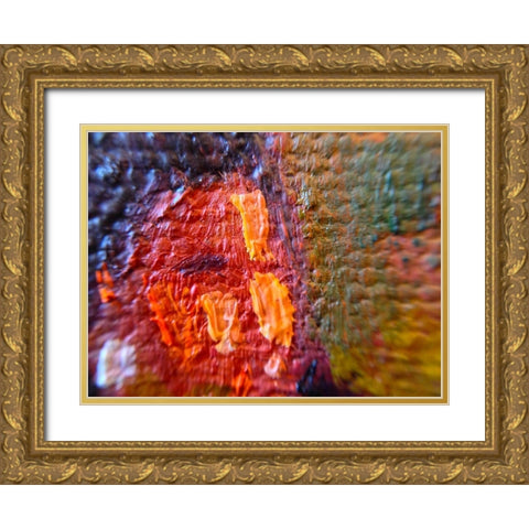 Paint Closeup VIII Gold Ornate Wood Framed Art Print with Double Matting by Grayscale