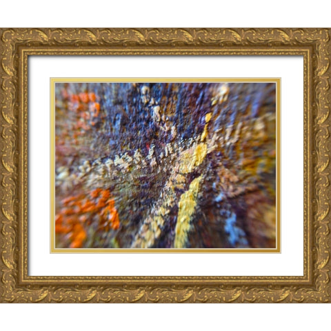 Paint Closeup IX Gold Ornate Wood Framed Art Print with Double Matting by Grayscale