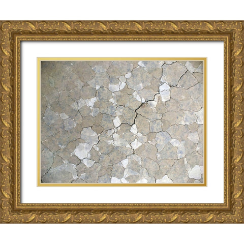 Parched Earth I Gold Ornate Wood Framed Art Print with Double Matting by Grayscale