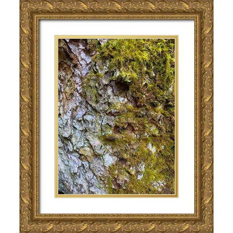 Bark and Moss I Gold Ornate Wood Framed Art Print with Double Matting by Grayscale