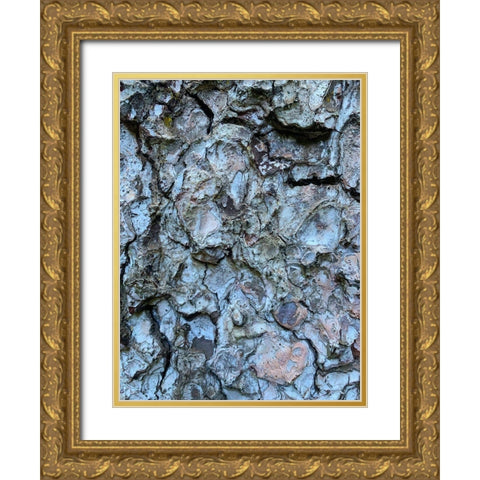 Bark Scales II Gold Ornate Wood Framed Art Print with Double Matting by Grayscale