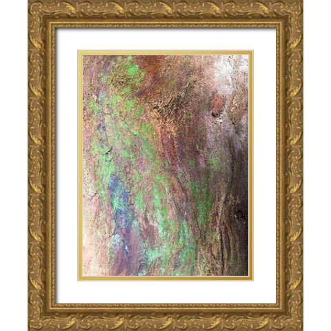 Bark and Moss III Gold Ornate Wood Framed Art Print with Double Matting by Grayscale