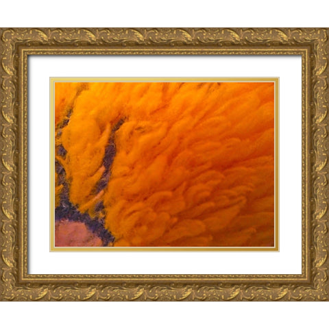 Orange Furry I Gold Ornate Wood Framed Art Print with Double Matting by Grayscale