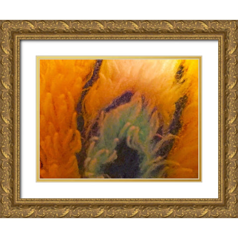 Orange Furry II Gold Ornate Wood Framed Art Print with Double Matting by Grayscale
