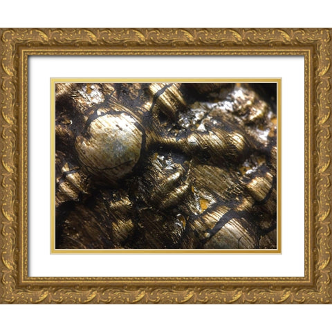 Frame Pic IV Gold Ornate Wood Framed Art Print with Double Matting by Grayscale