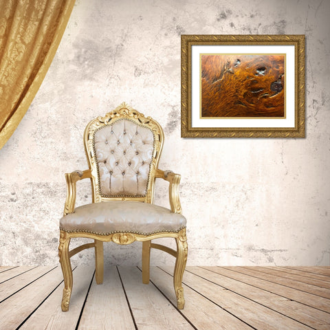 Wood Texture III Gold Ornate Wood Framed Art Print with Double Matting by Grayscale
