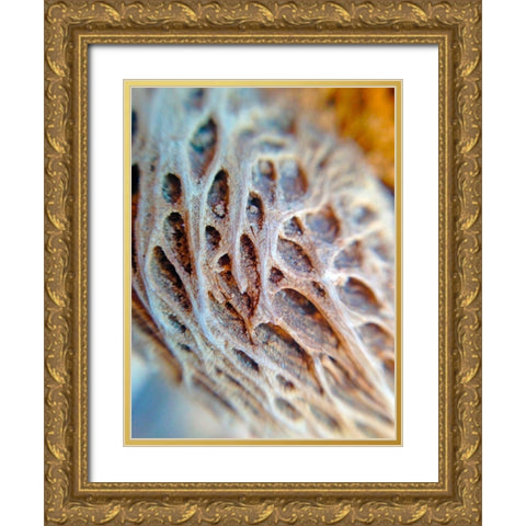 Fibers I Gold Ornate Wood Framed Art Print with Double Matting by Grayscale