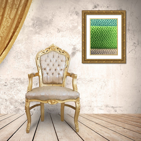 Fabric XI Gold Ornate Wood Framed Art Print with Double Matting by Grayscale