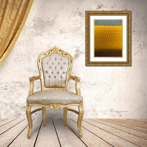 Fabric XII Gold Ornate Wood Framed Art Print with Double Matting by Grayscale