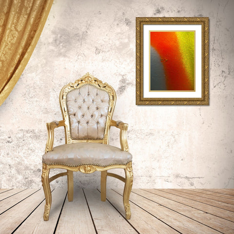Paint Closeup XIV Gold Ornate Wood Framed Art Print with Double Matting by Grayscale