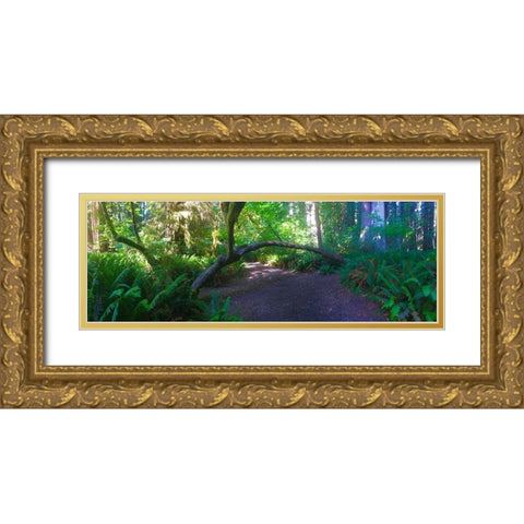 Arch Tree I Gold Ornate Wood Framed Art Print with Double Matting by Grayscale
