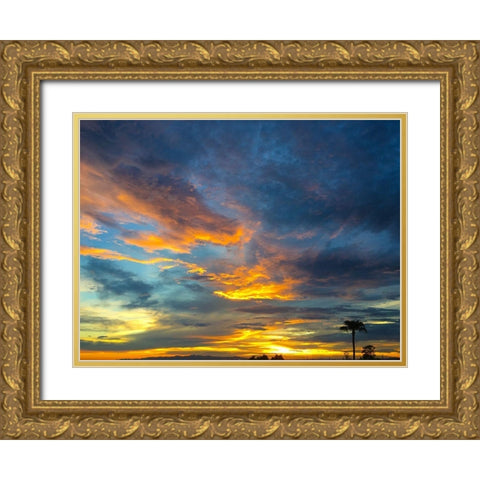 Arizona Sunset I Gold Ornate Wood Framed Art Print with Double Matting by Grayscale
