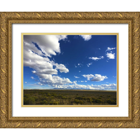 Big Sky I Gold Ornate Wood Framed Art Print with Double Matting by Grayscale