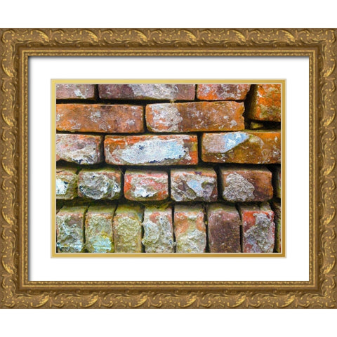Brick Wall I Gold Ornate Wood Framed Art Print with Double Matting by Grayscale