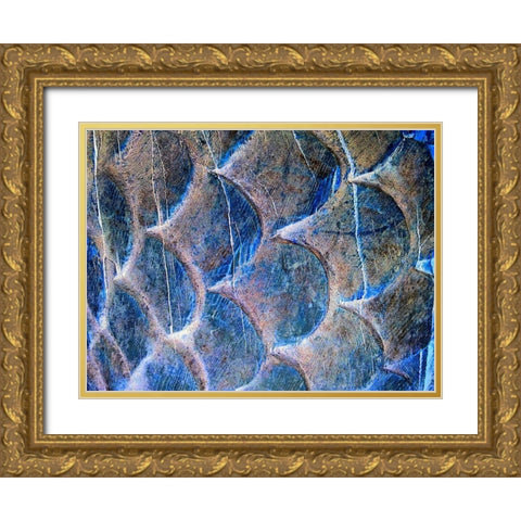 Wooden Scales II Gold Ornate Wood Framed Art Print with Double Matting by Grayscale