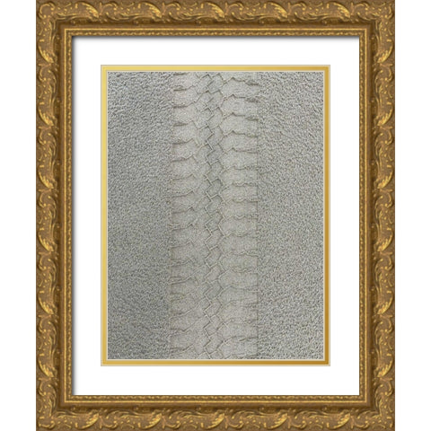 Sand Stripe I Gold Ornate Wood Framed Art Print with Double Matting by Grayscale