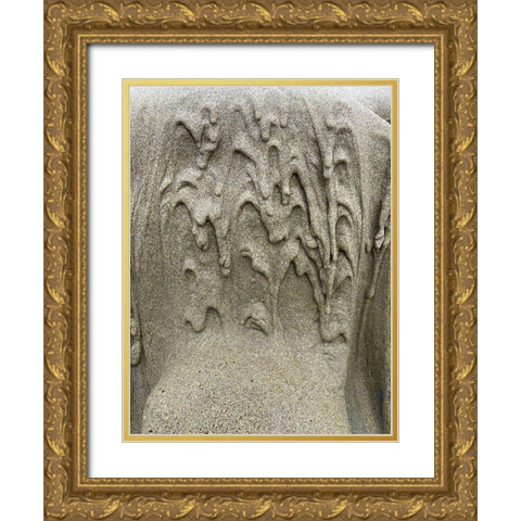 Wet Sand IX Gold Ornate Wood Framed Art Print with Double Matting by Grayscale