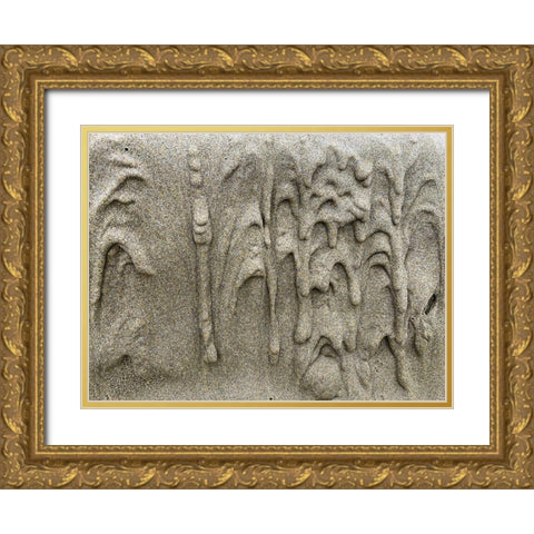 Wet Sand X Gold Ornate Wood Framed Art Print with Double Matting by Grayscale