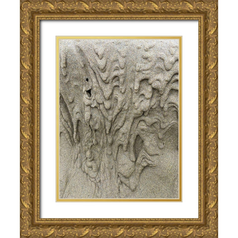 Wet Sand XI Gold Ornate Wood Framed Art Print with Double Matting by Grayscale