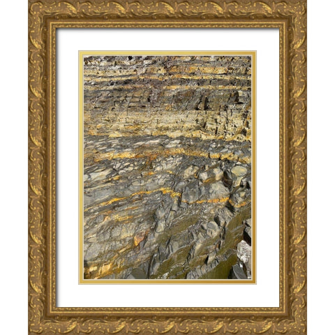 Rock Stripe IV Gold Ornate Wood Framed Art Print with Double Matting by Grayscale