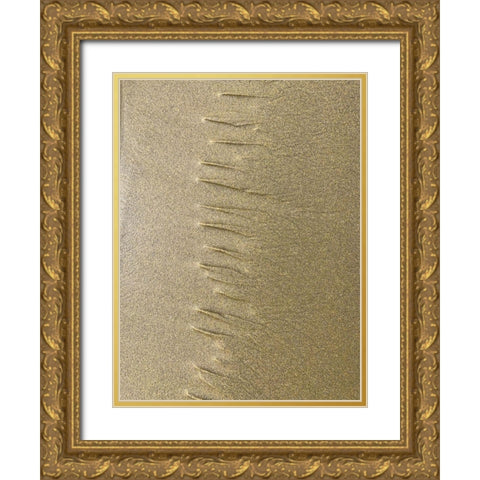Sand Stripe III Gold Ornate Wood Framed Art Print with Double Matting by Grayscale