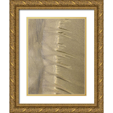 Sand Stripe IV Gold Ornate Wood Framed Art Print with Double Matting by Grayscale