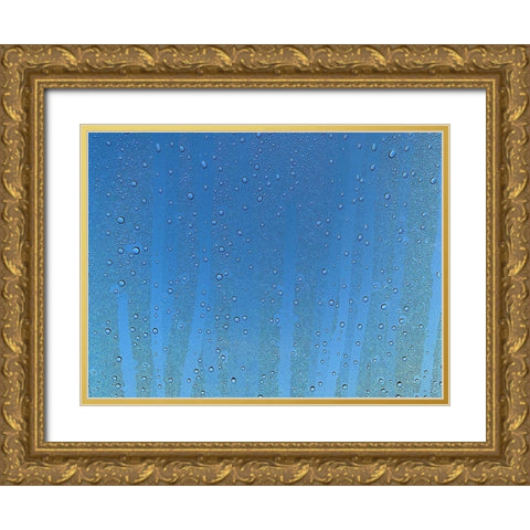 Rain Stripe I Gold Ornate Wood Framed Art Print with Double Matting by Grayscale