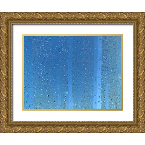 Rain Stripe II Gold Ornate Wood Framed Art Print with Double Matting by Grayscale